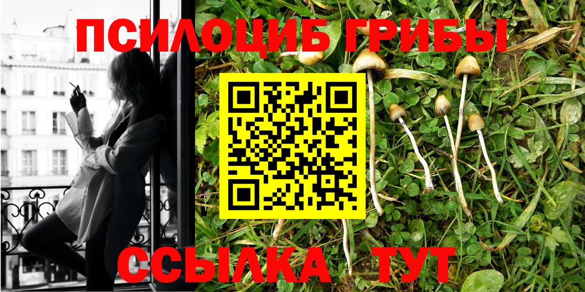 Псилоцибиновые грибы мухоморы Изобильный